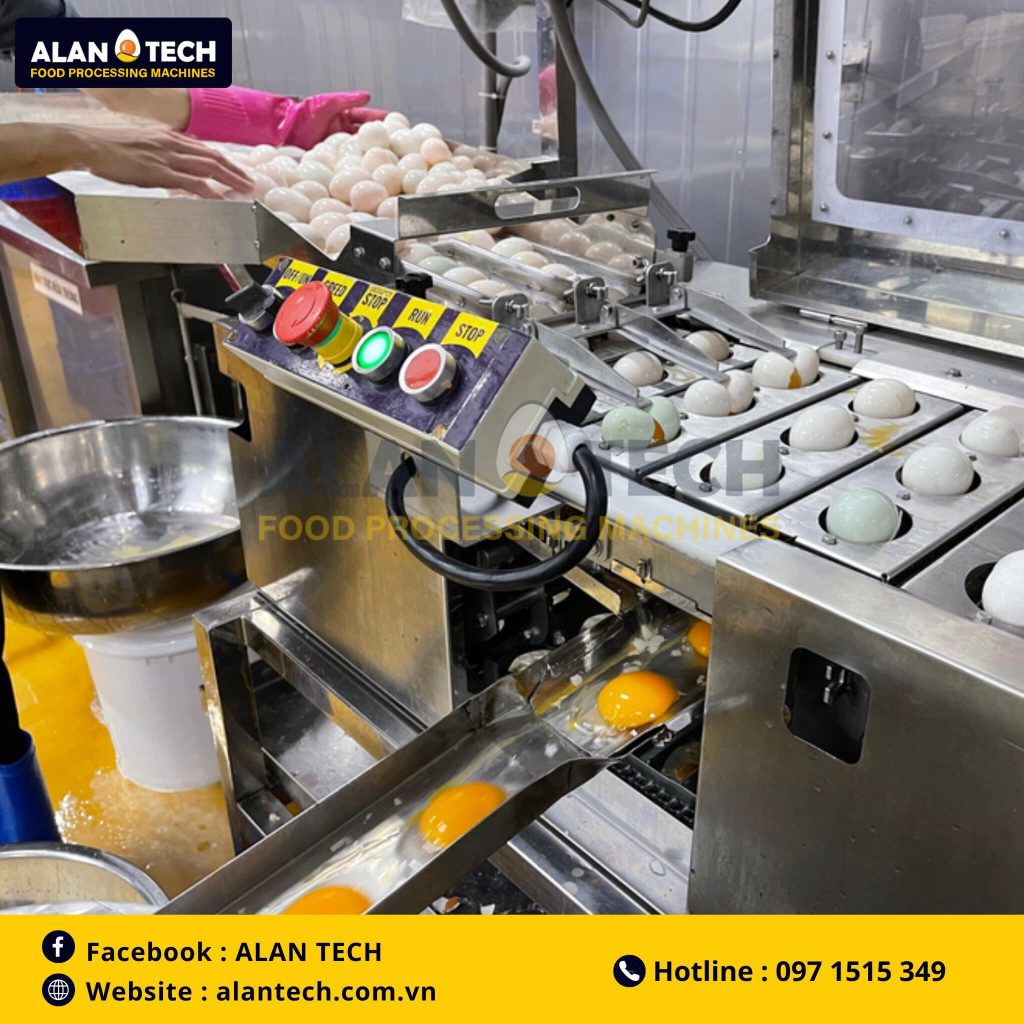 Máy tách lòng đỏ trứng công nghiệp công suất lớn DV-6 Alan Tech nâng tầm hiệu quả, đảm bảo chất lượng Máy tách lòng đỏ trứng Alan Tech